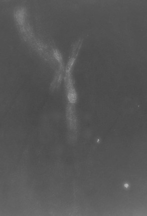 Sketch of NGC 520