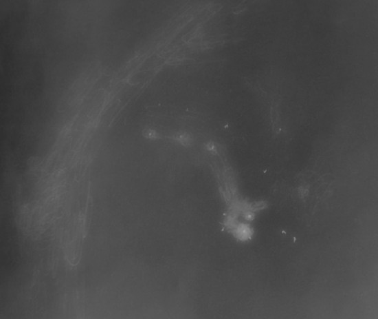 Sketch of NGC 7129